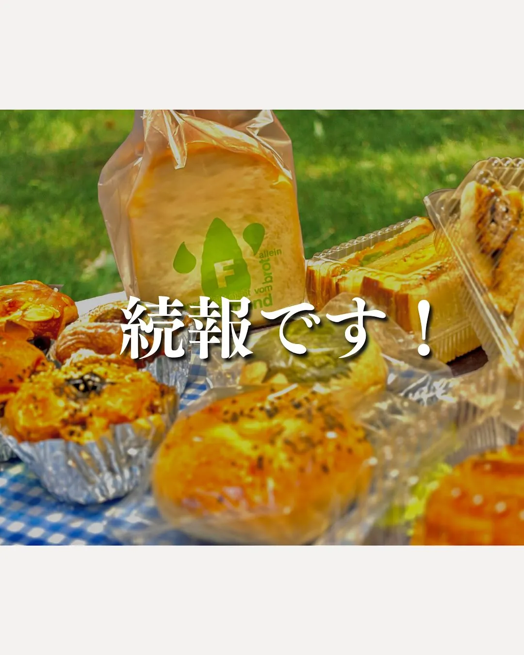 続報です！